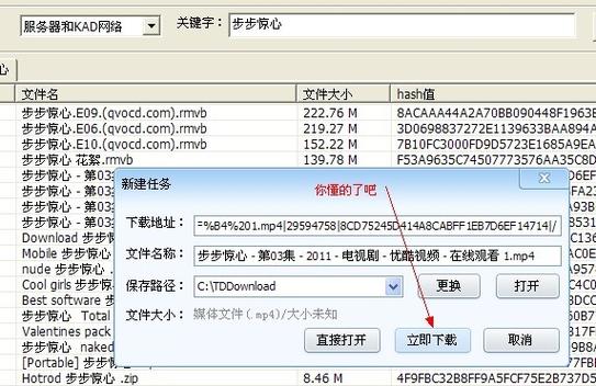 p2psearcher电脑端最新版本更新内容与特点提现版图标