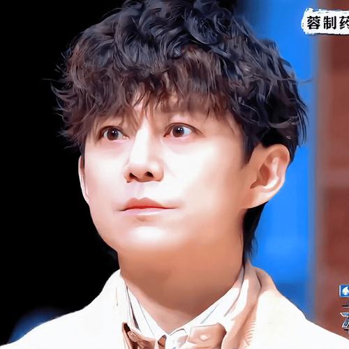 何炅简介个人资料光环加速版