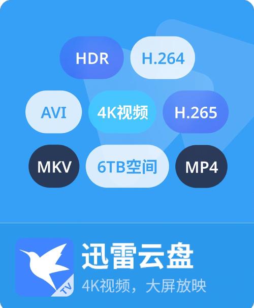 迅雷免费vip版本纯净版
