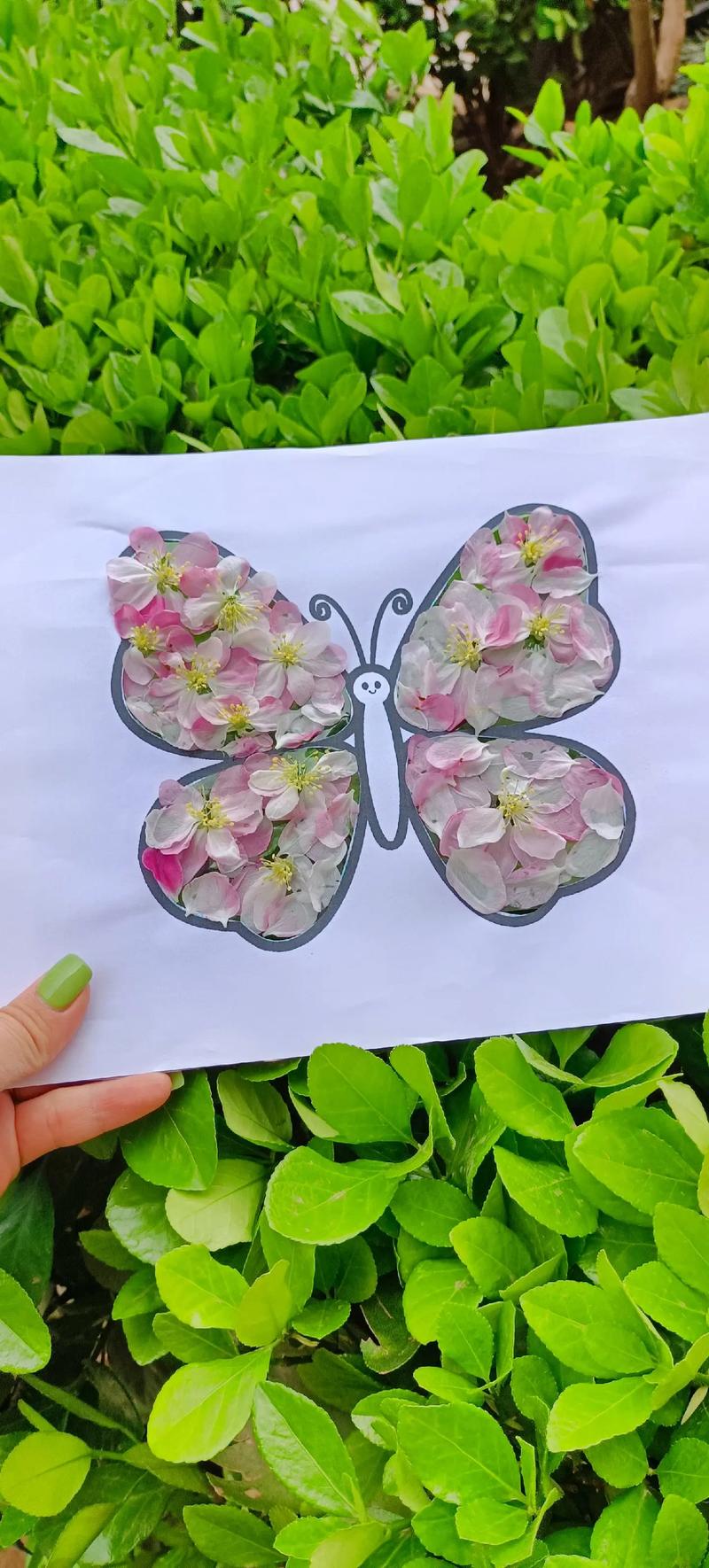 花瓣粘贴画加速永久图标