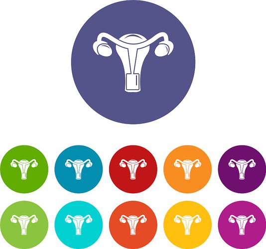 女人的鸡鸡软件图标
