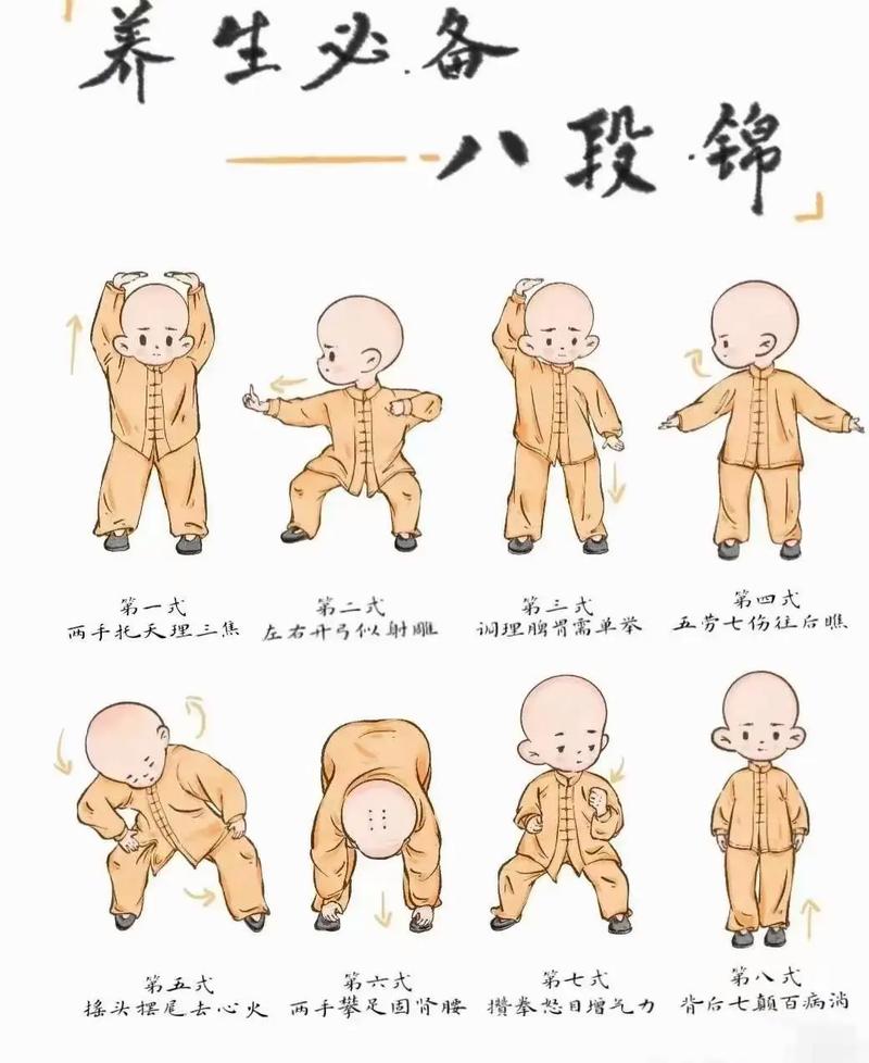 八段锦高清全套完整版破解版无需登录