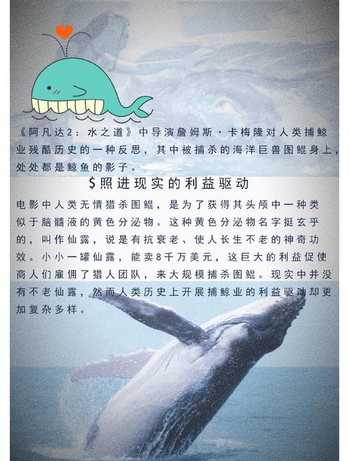 下载大鲸影视赚钱版