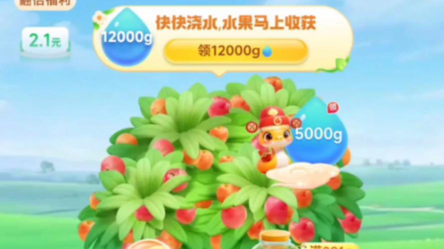 浇水养果子红包版图标