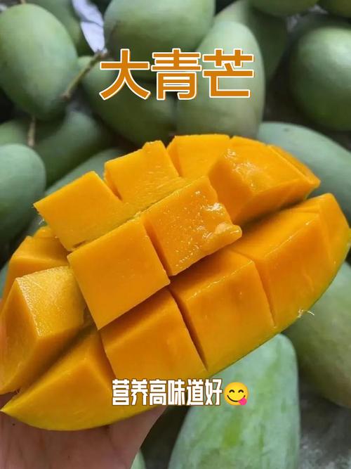 青芒是什么水果红包版图标