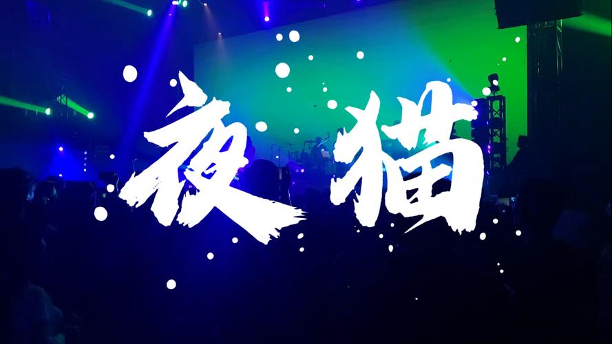 夜猫nightcat赚红包版图标