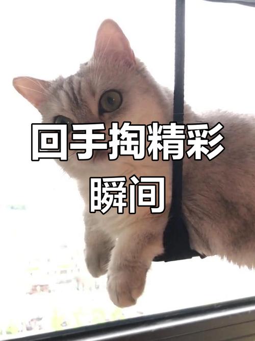 回手掏app