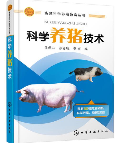 农村科学养猪技术