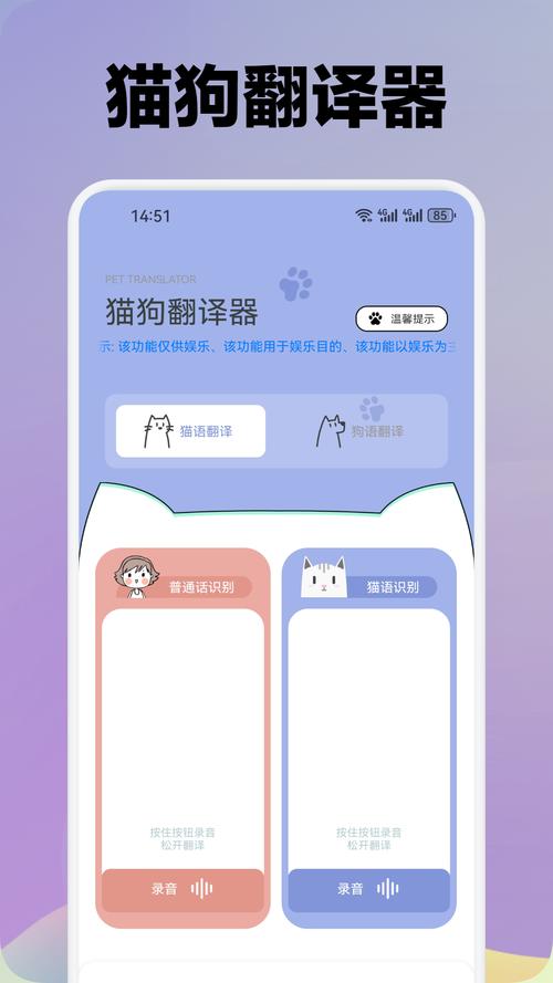 喵喵窝打字