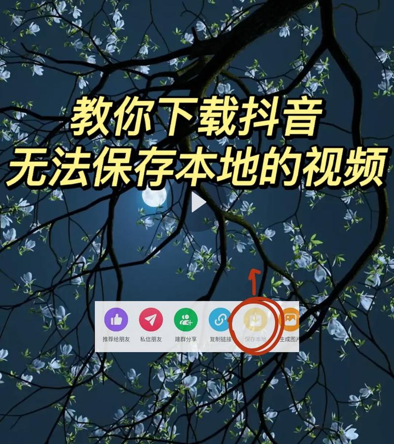 抖赞短视频