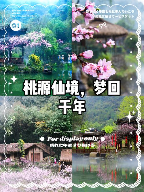 桃源仙境有多少个版本免费国语