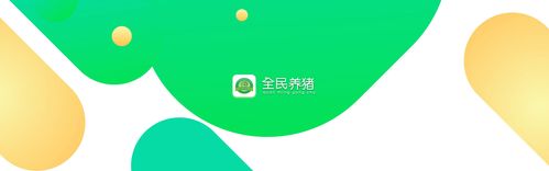 全民养猪平台图标