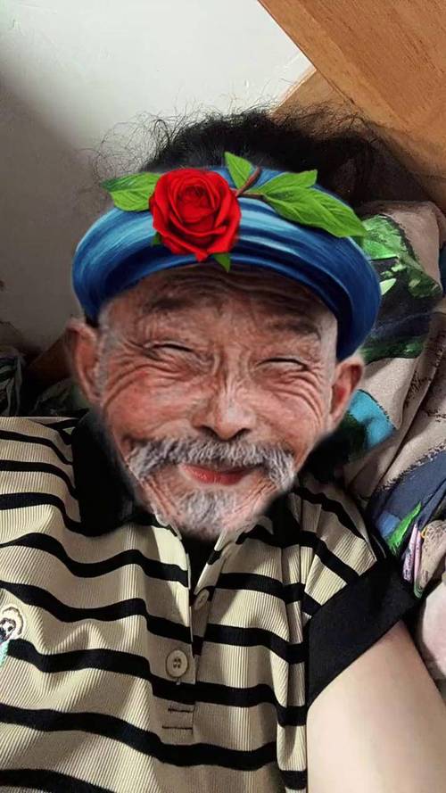 糟老头子图像