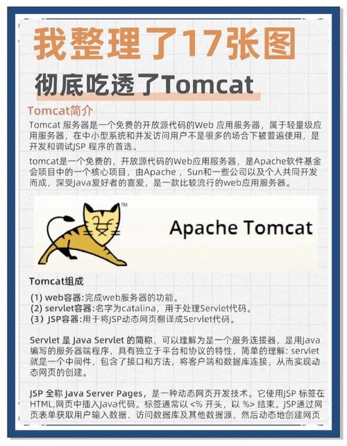 tomcat有必要学吗中文版
