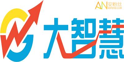 大智慧专业版安装