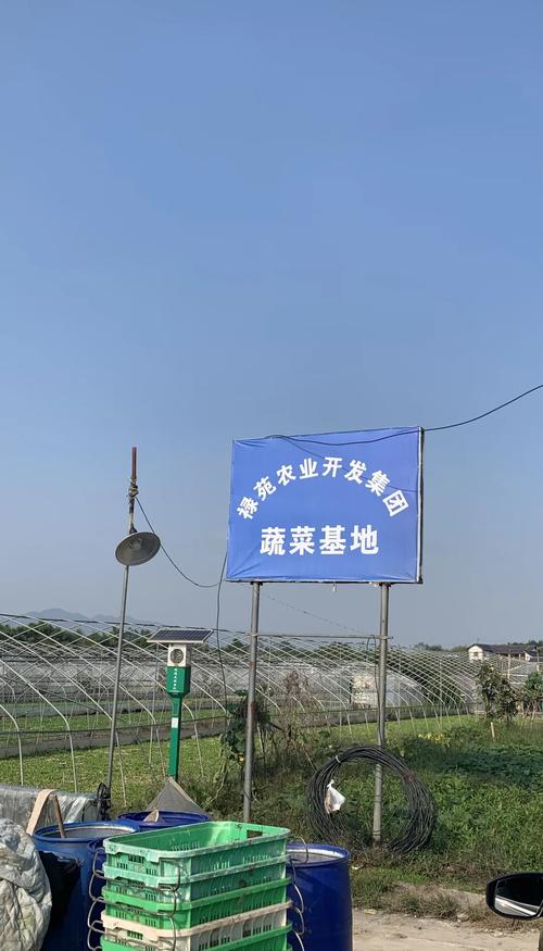 种植基地