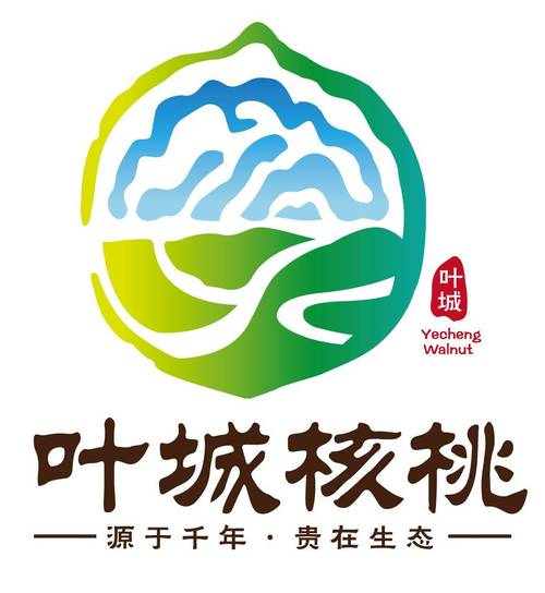 核桃客户端下载图标