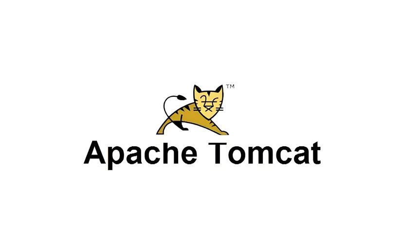 tomcat有必要学吗中文版图标