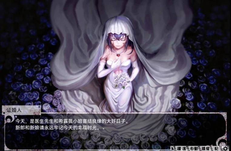 薇希尔汉化安卓最新版本253电视版