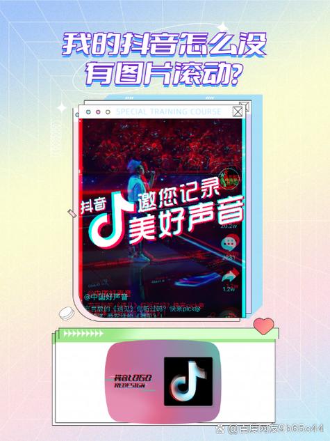 抖抈短视频红包版解锁全部书源