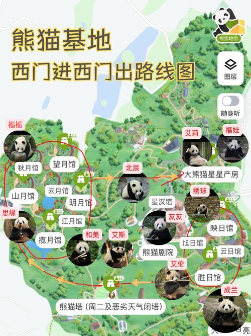 熊猫去哪儿