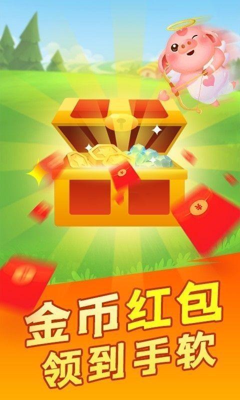 疯狂养猪场红包版无毒版图标