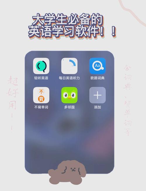 初步学英语什么软件去广告安卓版