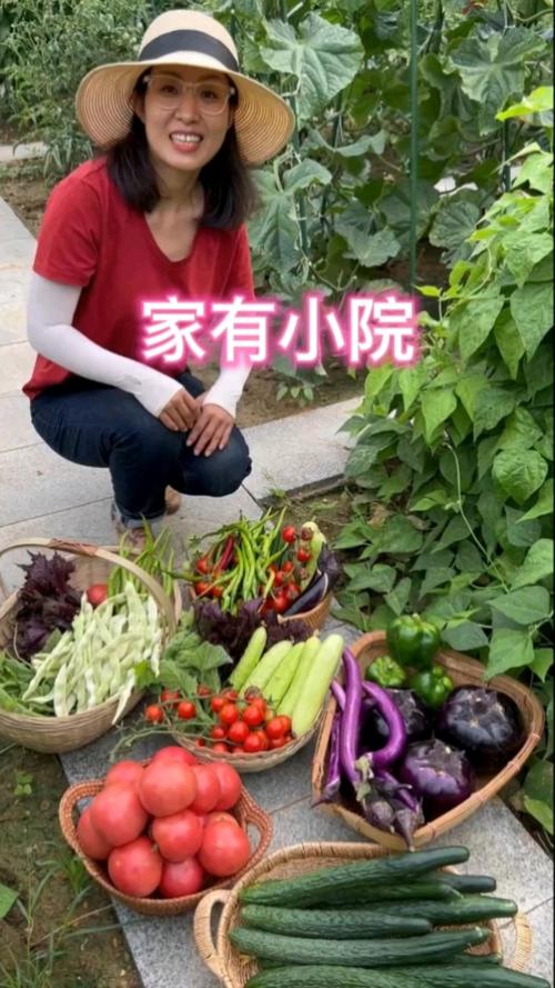 家有小院正版