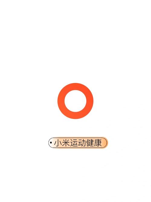 修改版小米运动健康