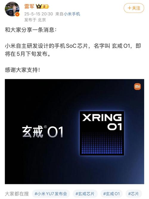 包包雷万能授权码