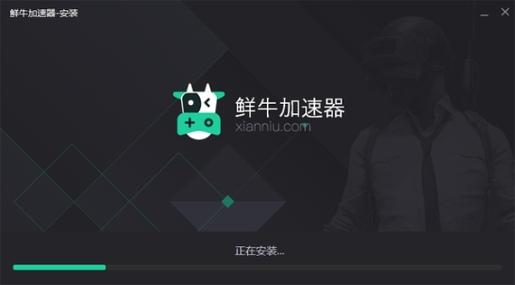 鲜牛加速器安卓版