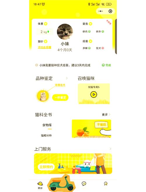 应用喵是干嘛的
