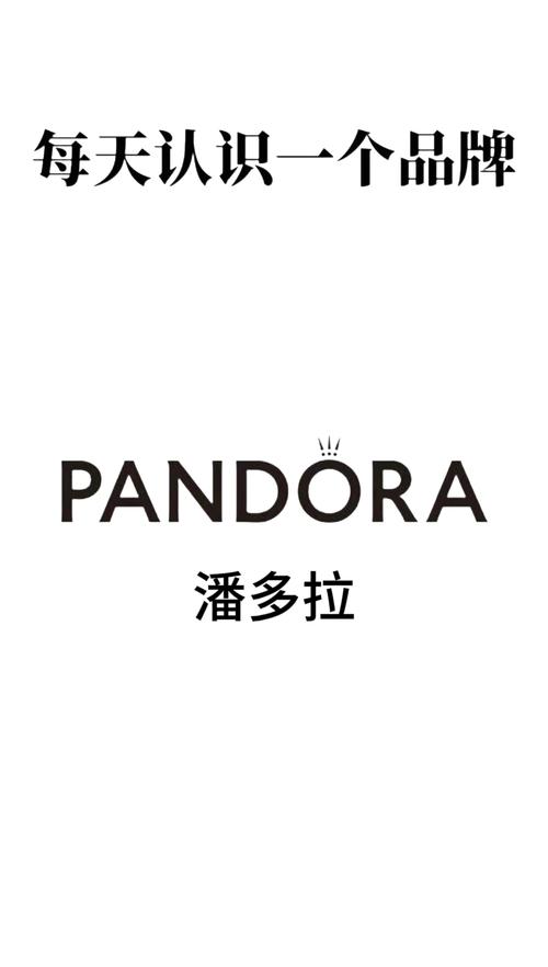 潘多拉固件功能图标