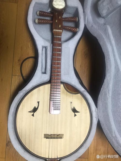中阮调音器图标