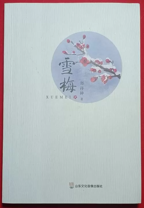 白梅的小说图标