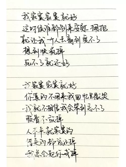 我寂寞寂寞就好 歌词