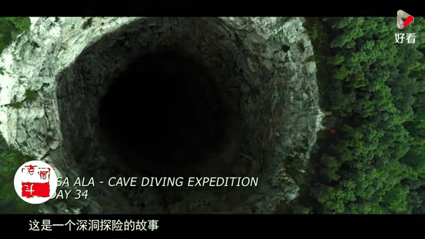洞动视频
