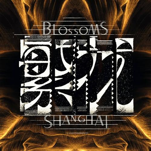繁花影视图标