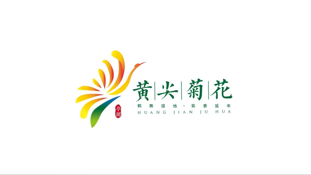菊花视频图标