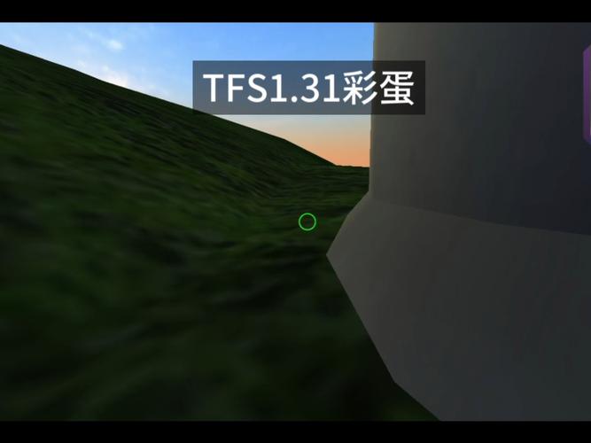 彩蛋视频