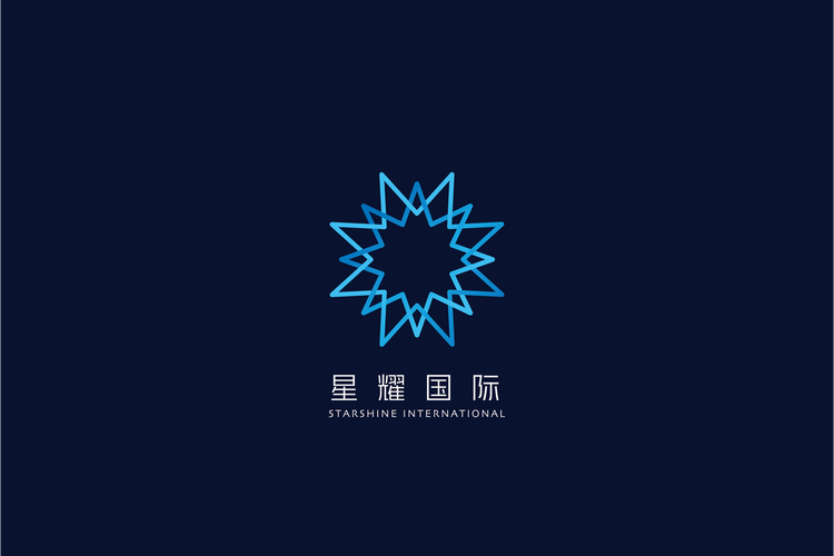 星耀国际图标