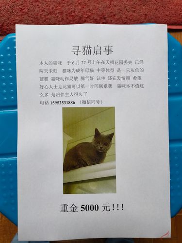 多赏喵悬赏