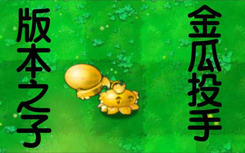 金瓜转免费