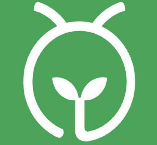 蚂蚁森林ECH环图标