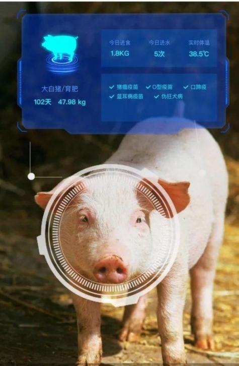 ai阿里云养猪