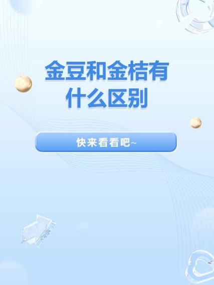 金桔资讯