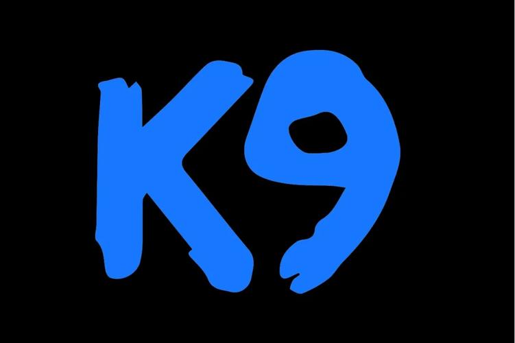 K9视频软件图标
