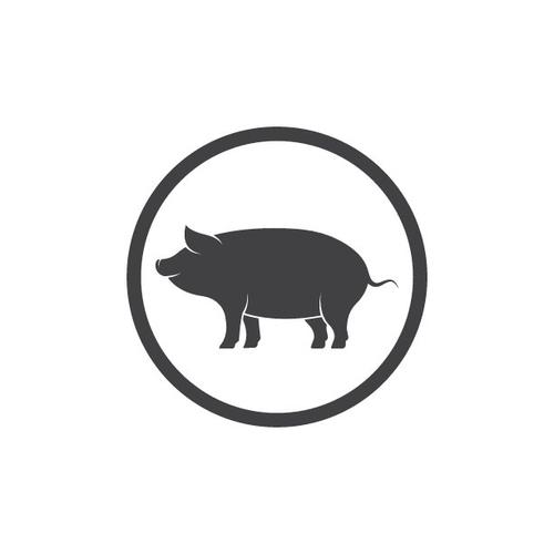 加密猪