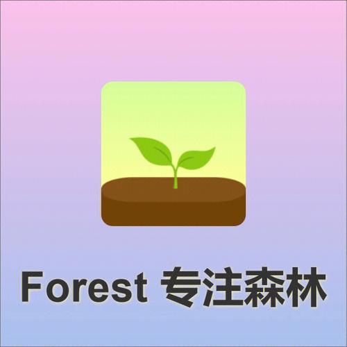 打卡森林