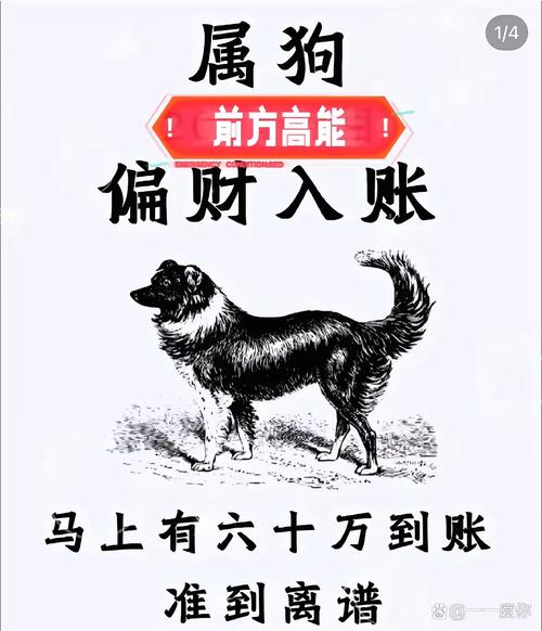 养犬分红赚钱图标